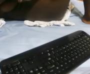sweet_moh1's cam on IamPrivate Cams